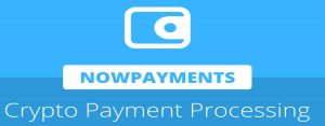 now-payments-logo