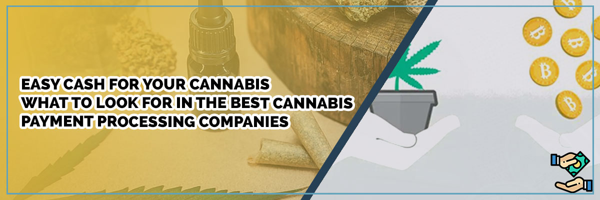 Easy Cash For Your Cannabis — What To Look For In The Best Cannabis Payment Processing Companies
