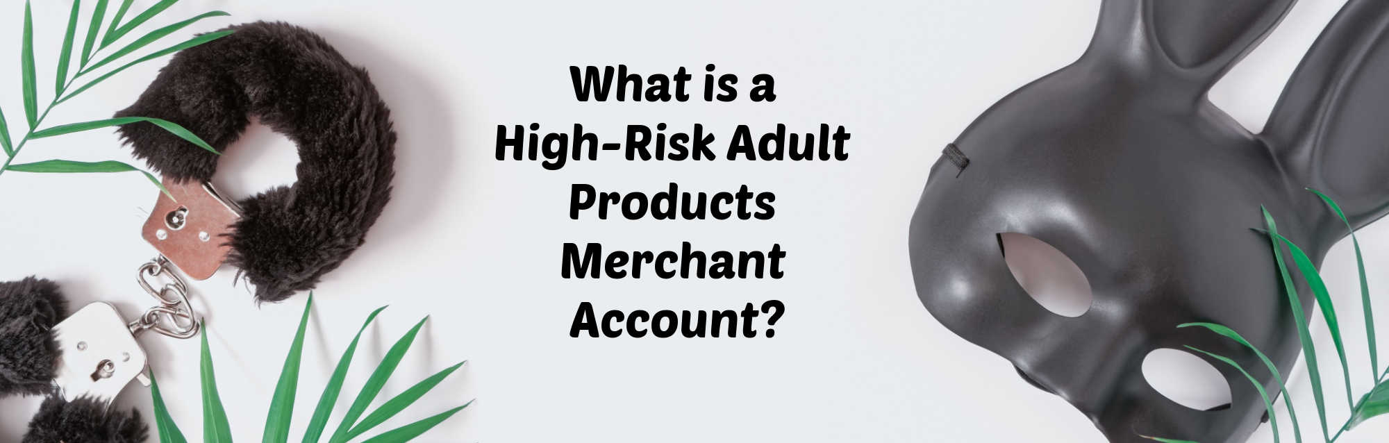 image of what is high risk adult products merchant account