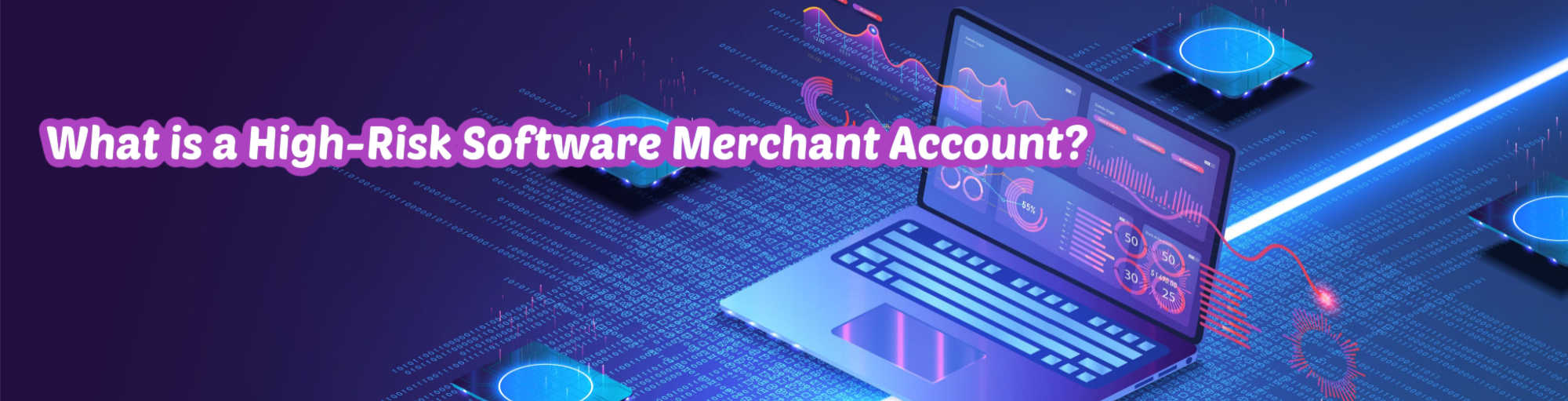 image of what is a high risk software merchant account