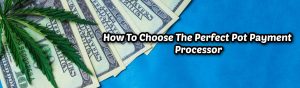 image of how to choose the perfect pot payment processor