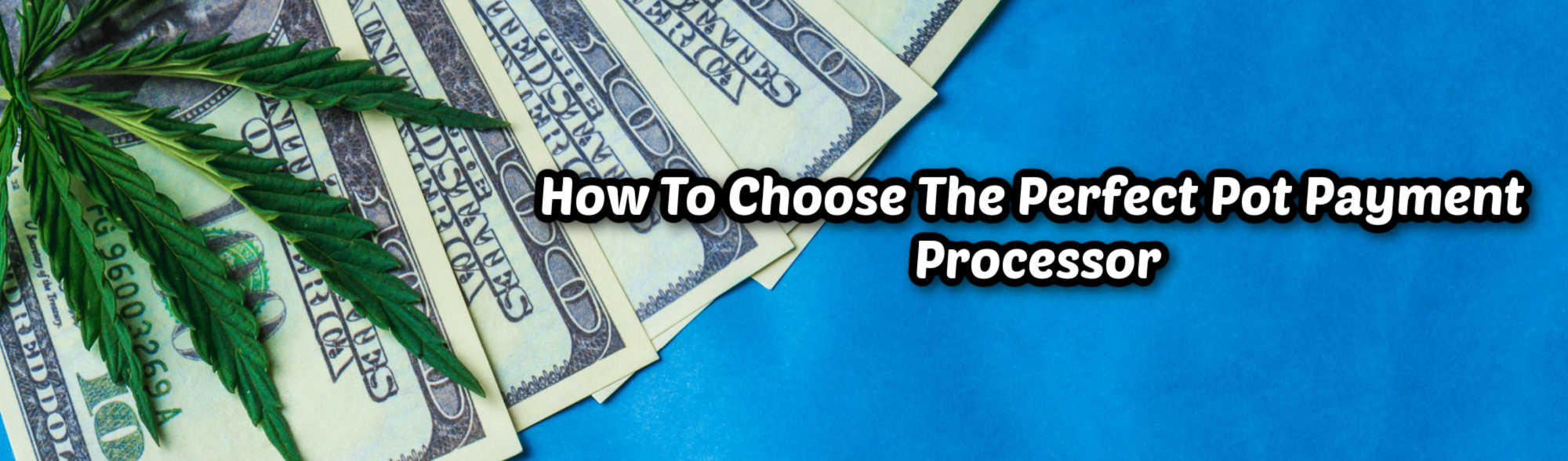 image of how to choose the perfect pot payment processor