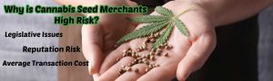 image of why is cannabis merchants high risk