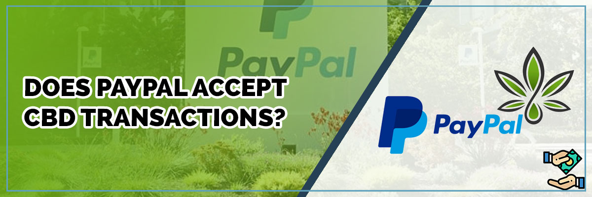 Does PayPal Accept CBD Transactions?

