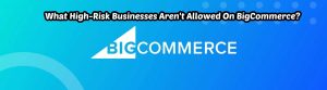 image of what high risk businesses arent allowed on bigcommerce