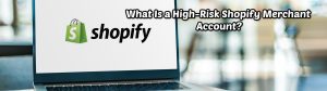 image of what is high risk shopify merchant account