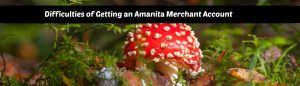 image of difficulties of getting an amanita merchant account