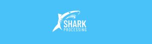 image of adult credit card processor shark processing
