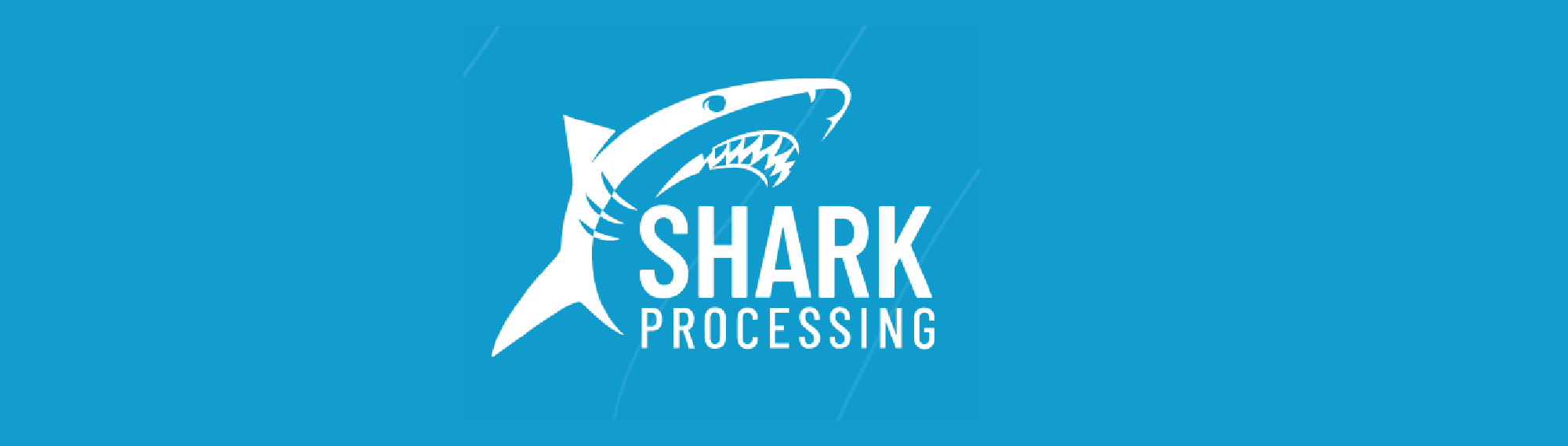 image of shark processing logo