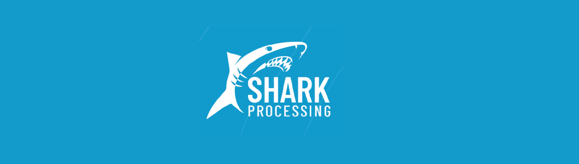 image of shark processing
