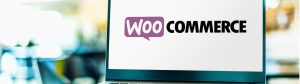 image of what makes woocommerce a high risk business
